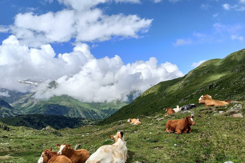 Hotel TREK SAFARI KITZBÜHEL - TRE CIME 